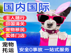 黄山机场邮寄国际宠物托运 【国